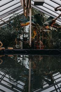 Reflection of abandoned bridge on water