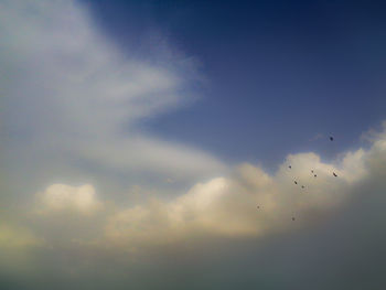 Low angle view of birds flying in sky