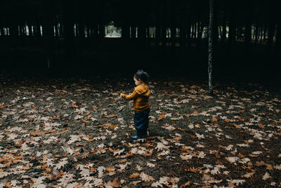 Child in the woods