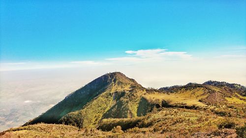 Scenic view of landscape against blue sky