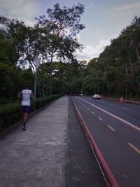 Rear view of man walking on road by trees