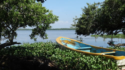 Scenic view of river against sky