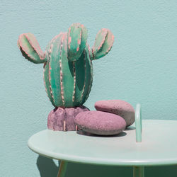 Cactus home decor on blue wall background. summer vacation stylish vibes