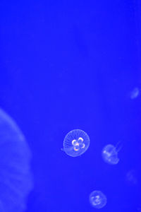 Low angle view of illuminated light