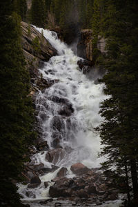 Scenic view of waterfall in forest