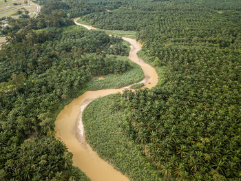 High angle view of agricultural field