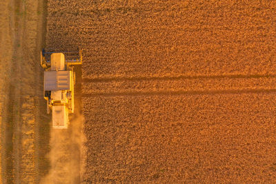 High angle view of tire tracks on field