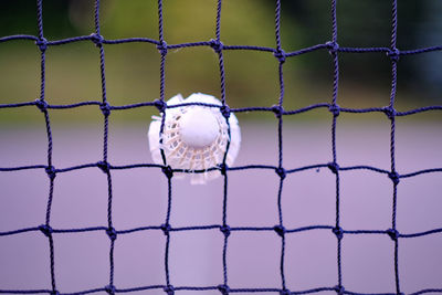 Close-up of soccer ball on field