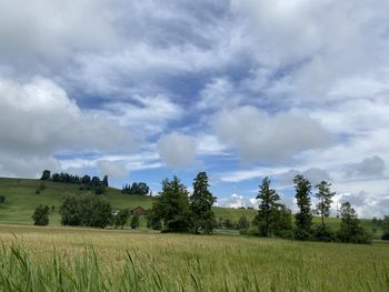 Scenic view of field against sky