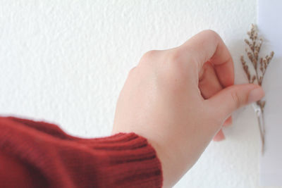 Cropped image of women attaching artificial plant on wall indoors