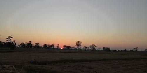 Scenic view of field against clear sky during sunset