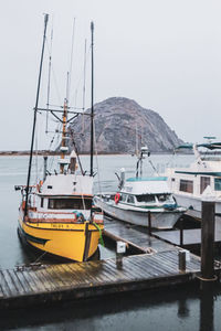 Boats moored at harbor