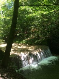 Scenic view of waterfall