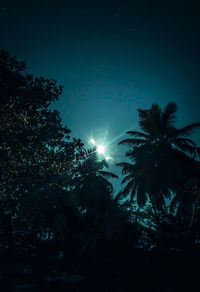 Low angle view of silhouette trees against sky at night