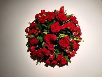 Close-up of red roses against white background