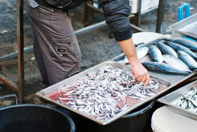 Low section of person next to fish plates