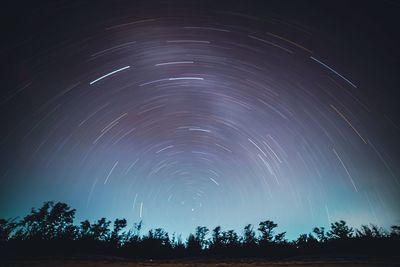 Low angle view of trees against sky at night