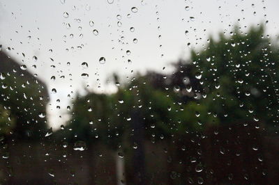 Close-up of water drops on glass