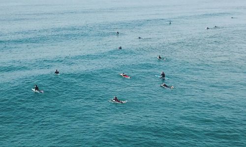 Scenic view of people surfing in sea