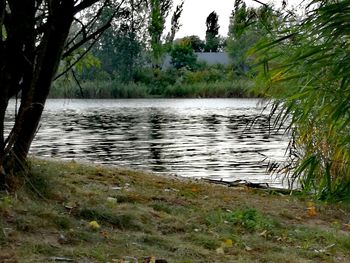 Scenic view of lake