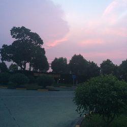 Scenic view of trees against sky during sunset