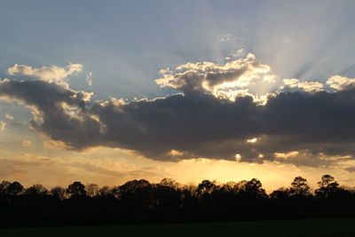 Silhouette trees against sky during sunset