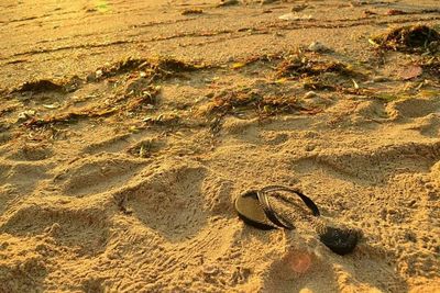 Footprints on sandy beach