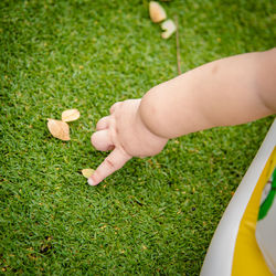 Cropped hand of baby touching leaf on grassy field