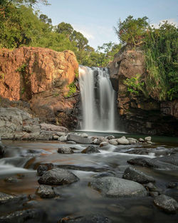 Scenic view of waterfall in forest