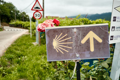 Text on road sign against plants