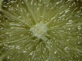 Full frame shot of wet fruit