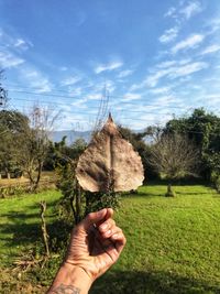 Cropped hand holding plant on field against sky