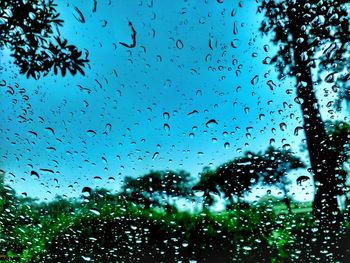 Water drops on glass window