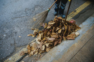 High angle view of dried leaves on street
