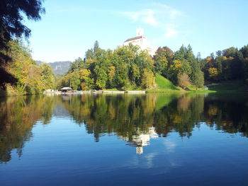 Reflection of trees in lake