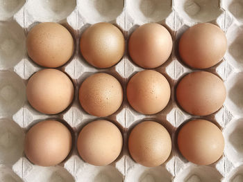 Fresh eggs in the egg stall. egg tray or egg panel