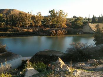 Scenic view of river by trees against clear sky