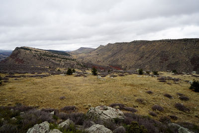 Scenic view of landscape against sky