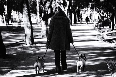 Rear view of woman walking with dogs on sidewalk