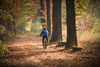 Rear view of man riding bicycle in forest