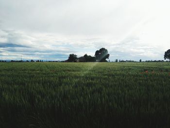 Scenic view of field against cloudy sky