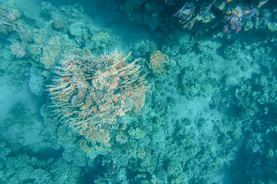 High angle view of sea