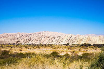 Scenic view of field against clear blue sky