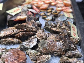 Close-up of crab for sale at market stall