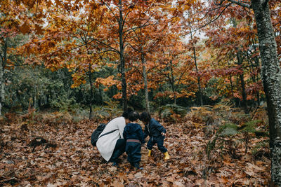 Mother with children picking leaves in the woods