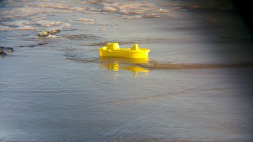 Close-up of yellow floating on water