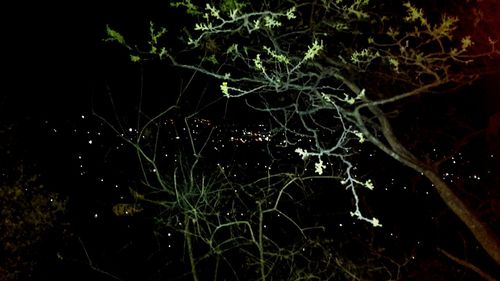 Close-up of illuminated lights at night