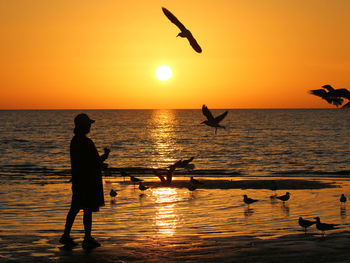 Silhouette woman with arms outstretched at beach during sunset