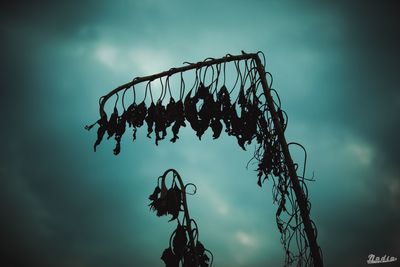 Low angle view of fishing net against sky