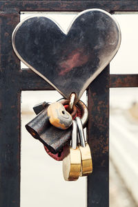 Close-up of love padlocks hanging on metal door